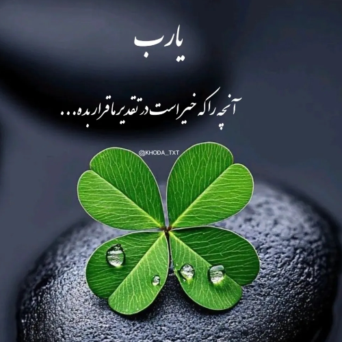 امین یزدانی