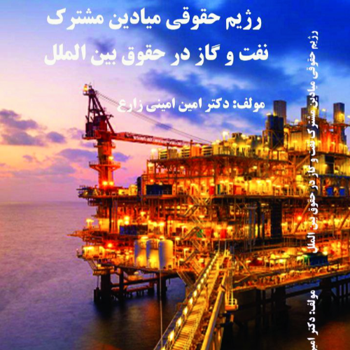 دكتر امين اميني زارع