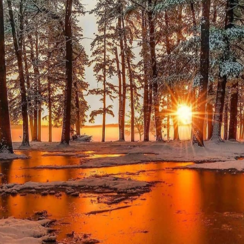 سمیه الوان ساز